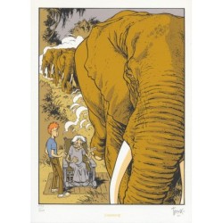 Broussaille 4 Sous deux soleils