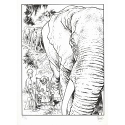 Broussaille 4 Sous deux soleils